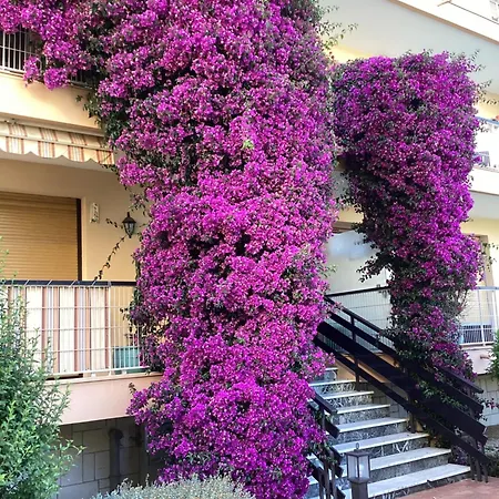 Apartment Belle Arboree, Climatise, Piscine, A 500m De La Sainte-Maxime