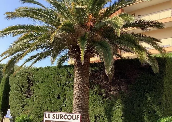 Belle Résidence Arborée, Climatisé, Piscine, à 500m De La