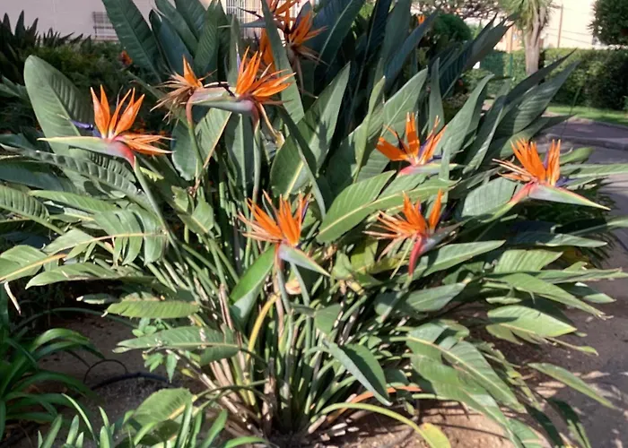 Belle Résidence Arborée, Climatisé, Piscine, à 500m De La * Sainte-Maxime